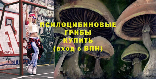 тгк Горнозаводск