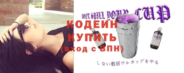 прущий лед Горняк
