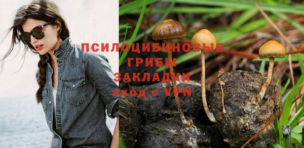 прущий лед Горняк