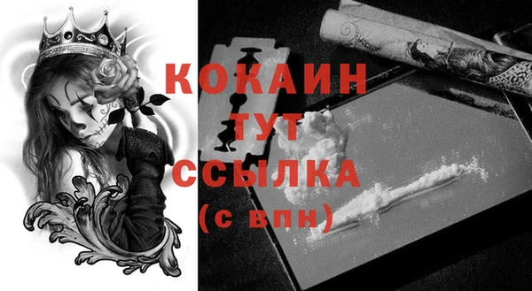 тгк Горнозаводск