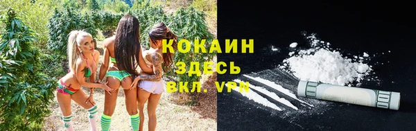 тгк Горнозаводск
