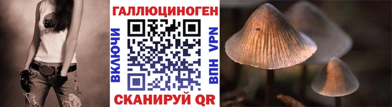 Псилоцибиновые грибы Psilocybe  Купить закладки  Одинцово 