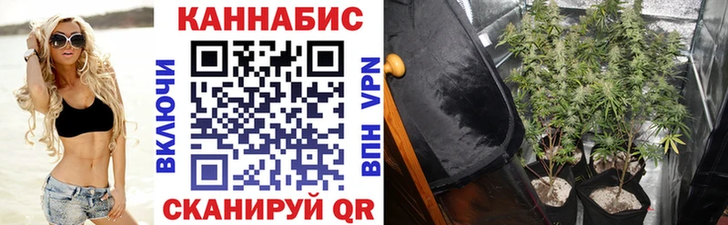 Канабис VHQ  Купить закладки  Одинцово 